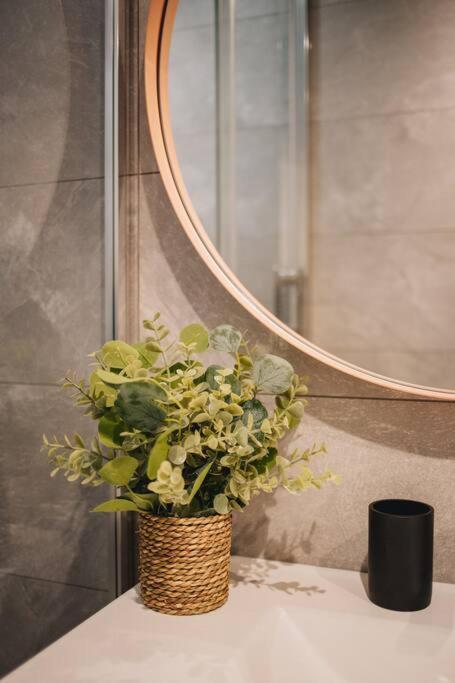 La Vie En Rose - Luxe, Calme & Hypercentre - 3* Apartamento Annecy Exterior foto