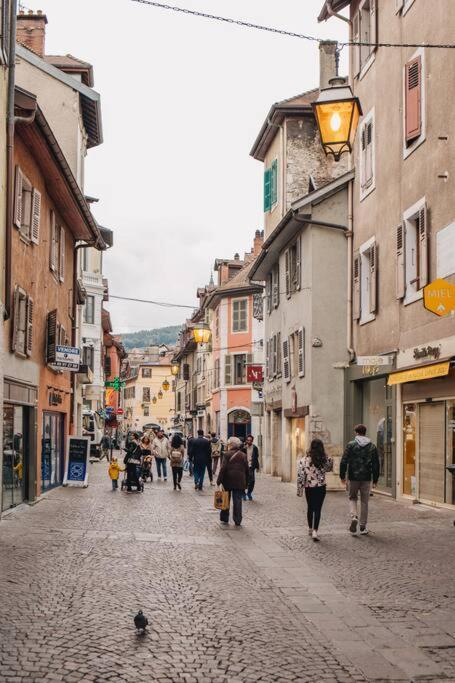 La Vie En Rose - Luxe, Calme & Hypercentre - 3* Apartamento Annecy Exterior foto